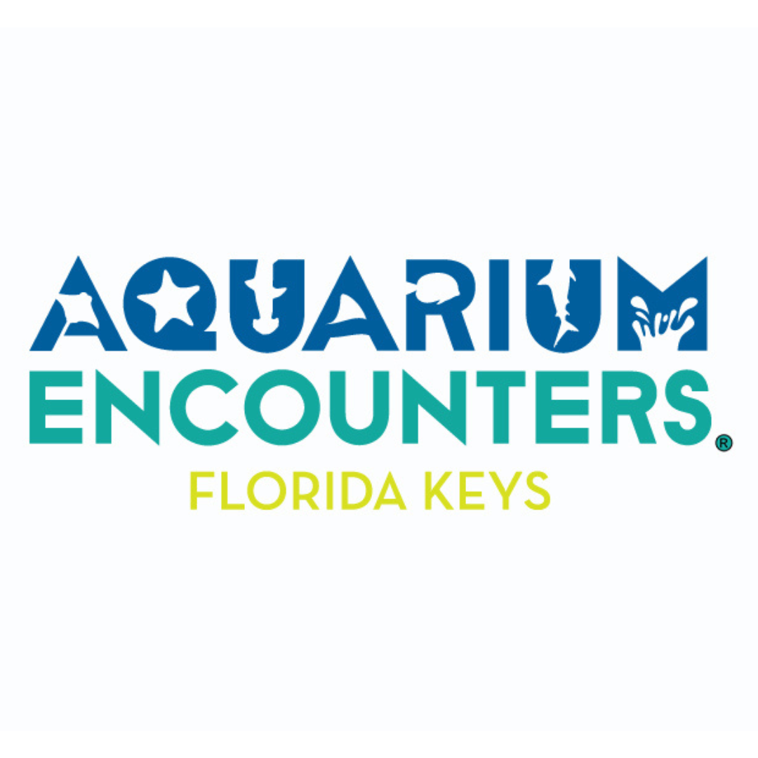 Aquarium Encounters